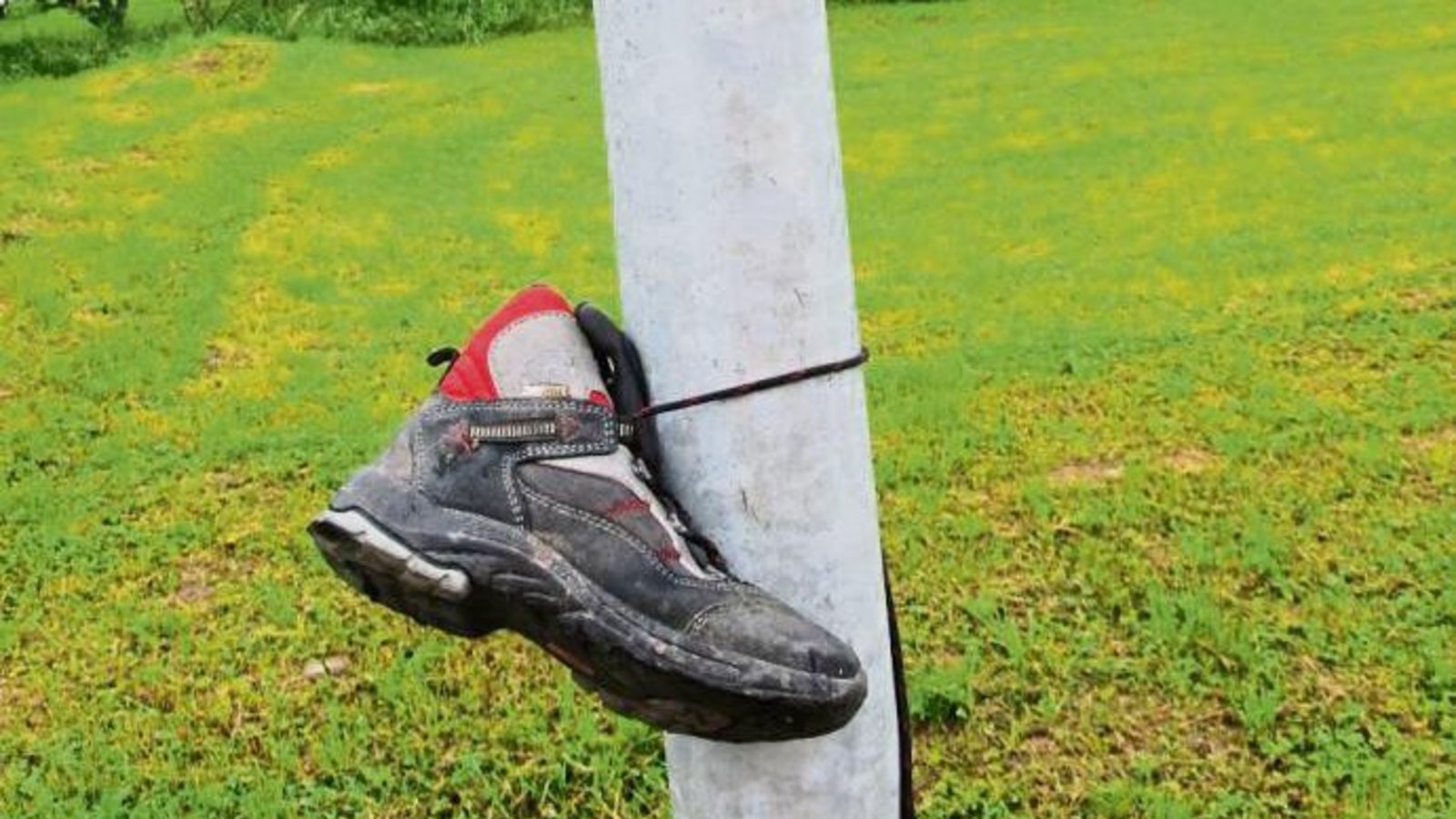 „Aufgehängt. Letzte Station eines sportlichen Schuhes im Sersheimer Wiesenweg“, schreibt uns Lothar Makkens zu diesem Schnappschuss. „Aufgehängt. Letzte Station eines sportlichen Schuhes im Sersheimer Wiesenweg“, schreibt uns Lothar Makkens zu diesem Schnappschuss.