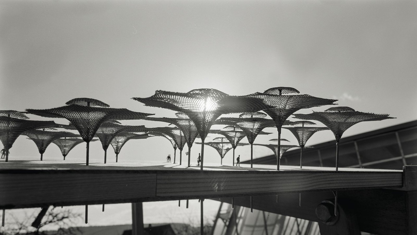 Großschirme auf der Bundesgartenschau in Köln (1971), Modell.Foto: Werkarchiv Frei Otto / Prestel Verlag
