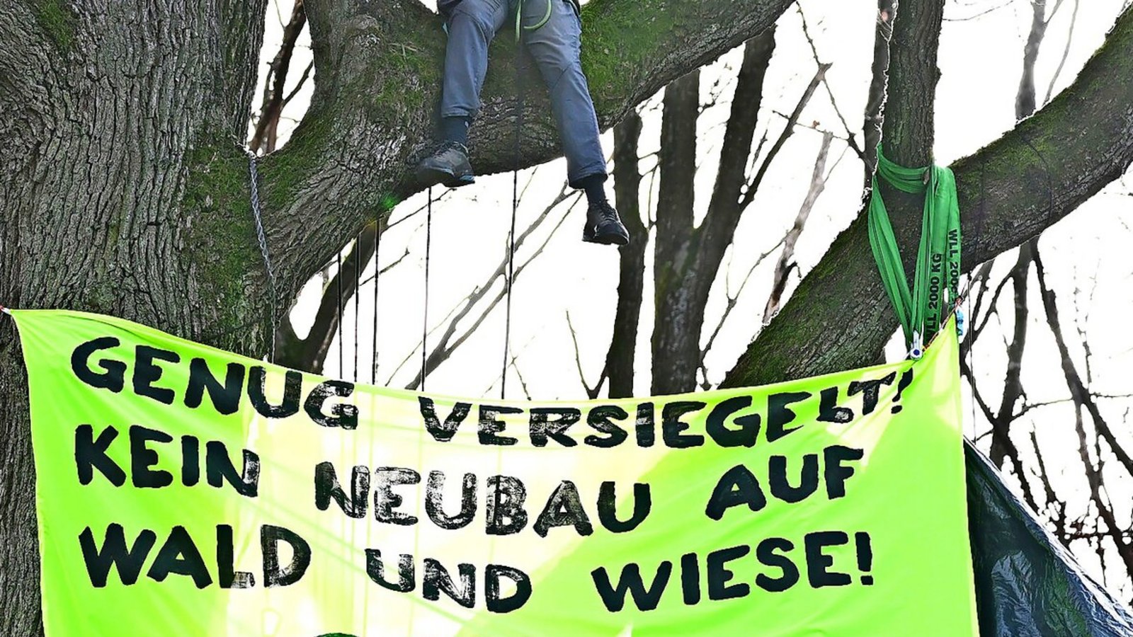 Im Februar hatten Aktivisten gegen eine Abholzung von Bäumen in Stuttgart-Vaihingen demonstriert.Foto: dpa/Bernd Weißbrod Im Februar hatten Aktivisten gegen eine Abholzung von Bäumen in Stuttgart-Vaihingen demonstriert.Foto: dpa/Bernd Weißbrod