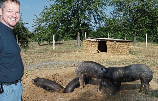 Morgens und abends rückt Landwirt Grotz mit dem Wasserschlauch an.  Fotos: Rücker