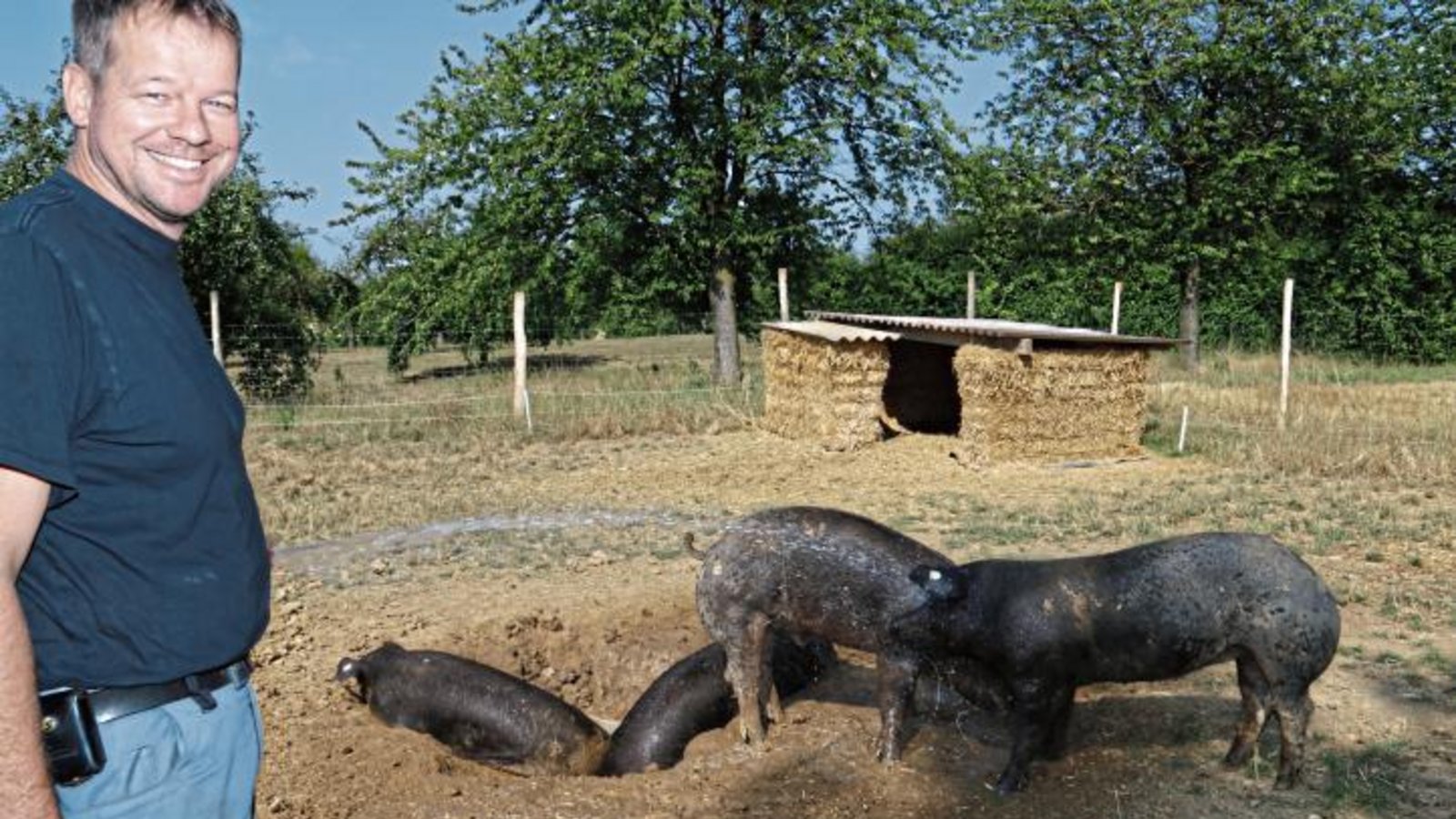 Morgens und abends rückt Landwirt Grotz mit dem Wasserschlauch an. Fotos: Rücker Morgens und abends rückt Landwirt Grotz mit dem Wasserschlauch an. Fotos: Rücker