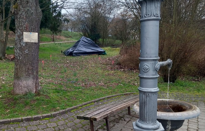 Hinter dem Fontanisbrunnen soll es aufgebaut werden.  <span class='image-autor'>Foto: Glemser</span>