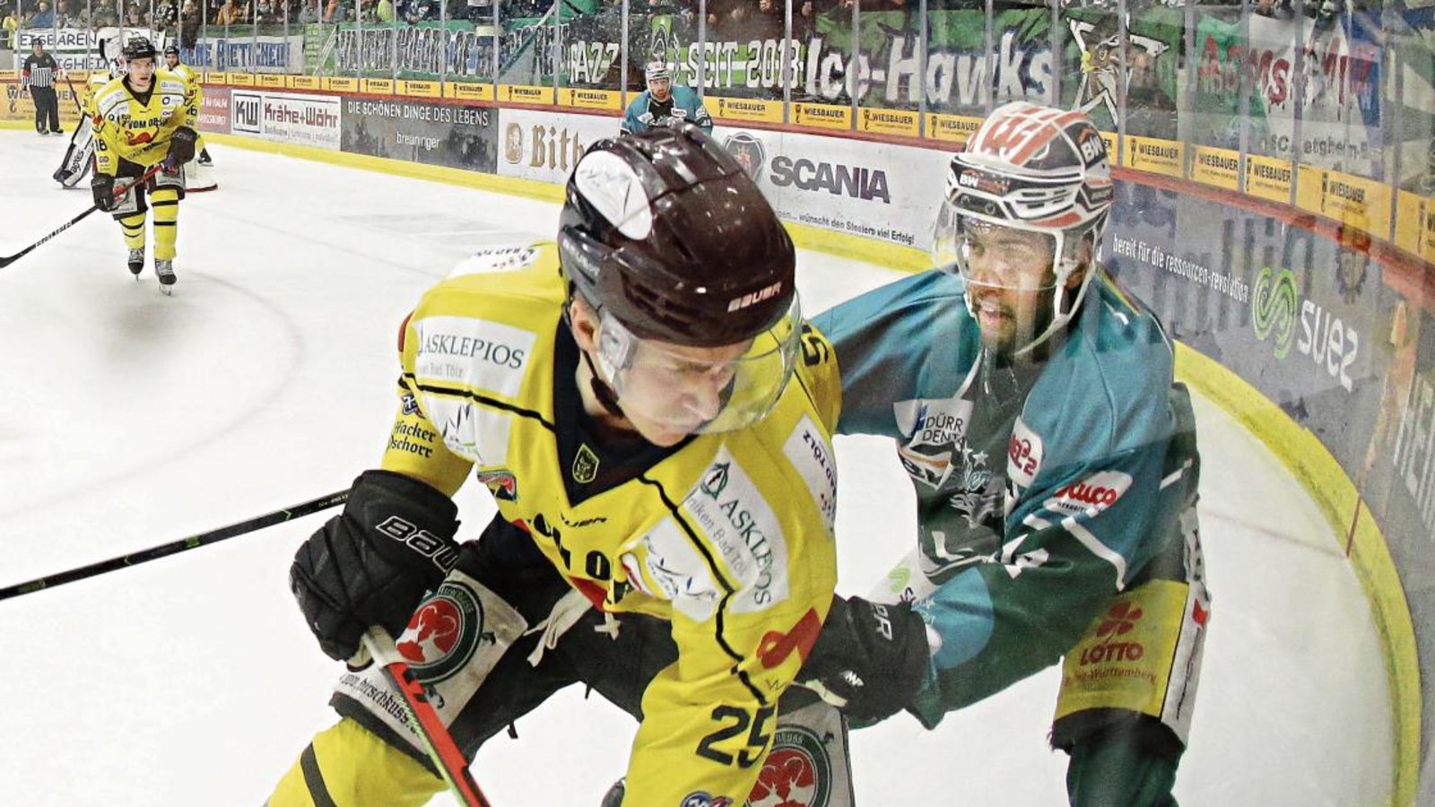 Lukas Laub (rechts) ist nach überstandener Verletzung ins Team zurückgekehrt. Gegen die Tölzer Löwen setzte es zwei Niederlagen. Foto: Baumann Lukas Laub (rechts) ist nach überstandener Verletzung ins Team zurückgekehrt. Gegen die Tölzer Löwen setzte es zwei Niederlagen. Foto: Baumann
