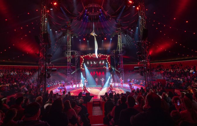 Manege frei für den Zirkus.<span class='image-autor'>Foto: Europa-Park</span>