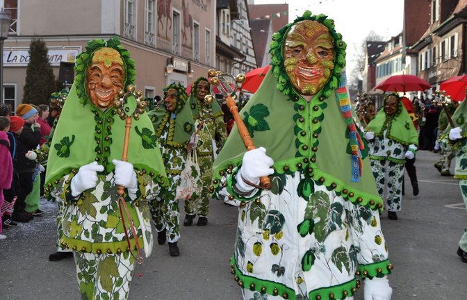 Endlich wieder richtig Fasnet – darauf freuen sich auch die Hopfennarren aus Tettnang, die in diesem Jahr Gastgeber eines großen Narrentreffens sind.<span class='image-autor'>Foto: red/Paul Martin</span>