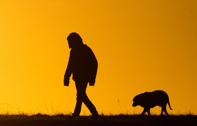Viele Hundebesitzer bekommen es nicht mit, wenn ihre Tiere leiden. (Symbolbild)<span class='image-autor'>Foto: Julian Stratenschulte/dpa</span>