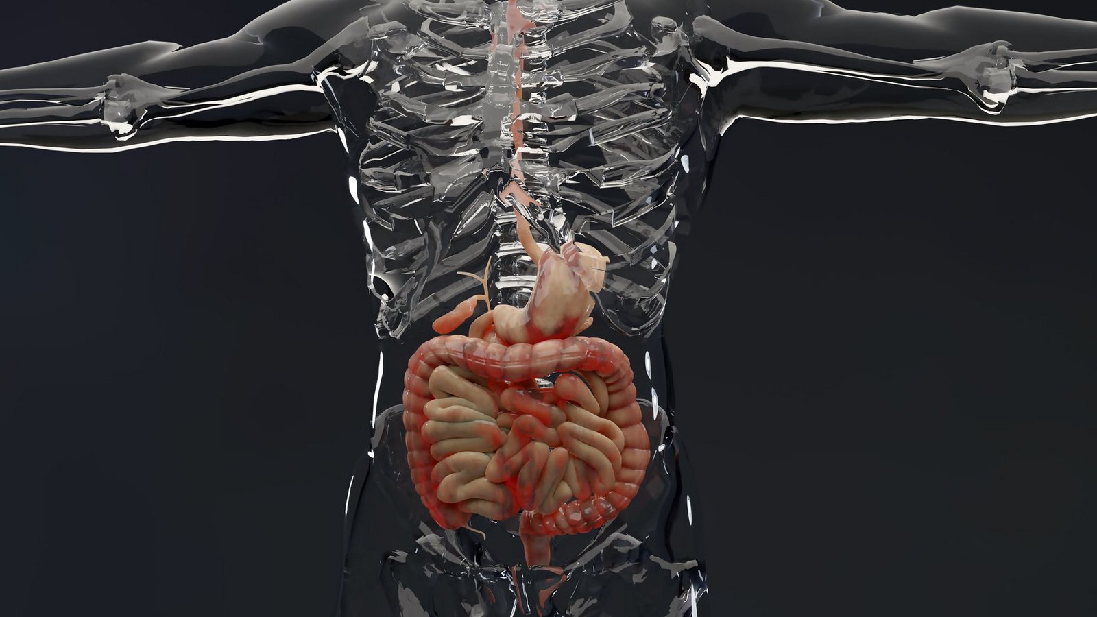 Beim Morbus Crohn ist meistens der letzte Teil des Dünndarms, des Dickdarms und der Darmwand betroffen, aber auch andere Teile des Verdauungstrakts.Foto: Imago/Depositphotos Beim Morbus Crohn ist meistens der letzte Teil des Dünndarms, des Dickdarms und der Darmwand betroffen, aber auch andere Teile des Verdauungstrakts.Foto: Imago/Depositphotos