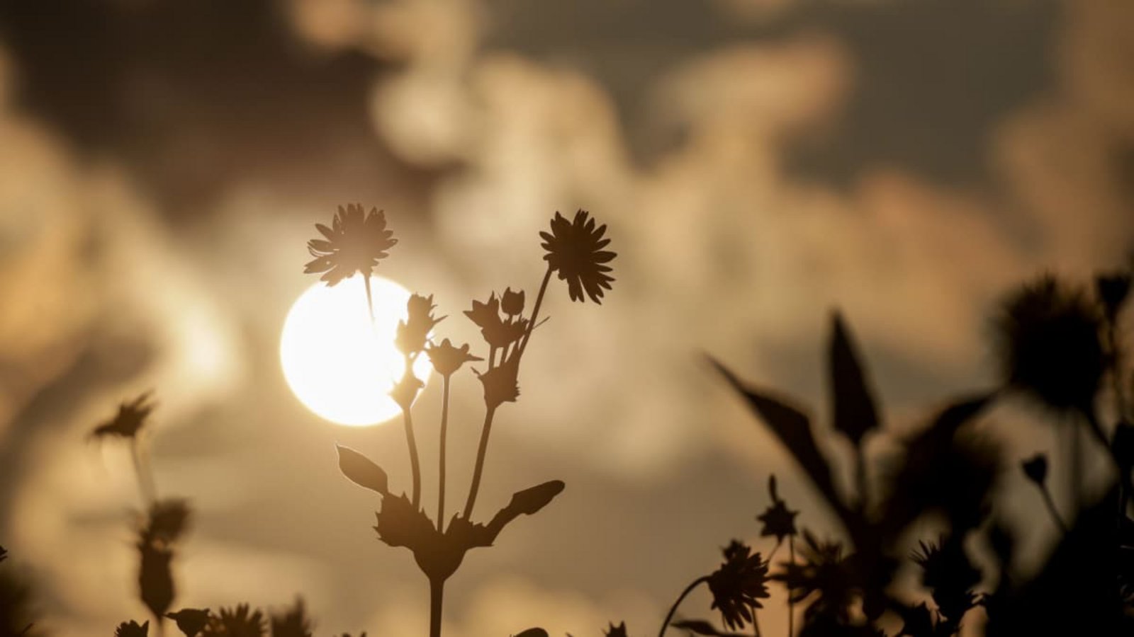 Das Wetter in Baden-Württemberg wird laut DWD wechselhaft in den kommenden Tagen.Thomas Warnack/dpa Das Wetter in Baden-Württemberg wird laut DWD wechselhaft in den kommenden Tagen.Thomas Warnack/dpa