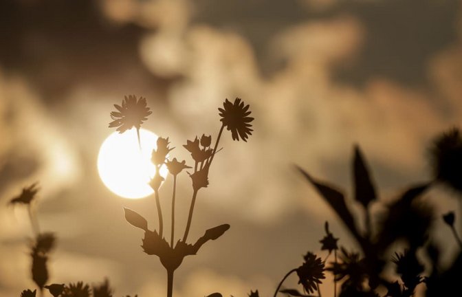 Das Wetter in Baden-Württemberg wird laut DWD wechselhaft in den kommenden Tagen.<span class='image-autor'>Thomas Warnack/dpa</span>