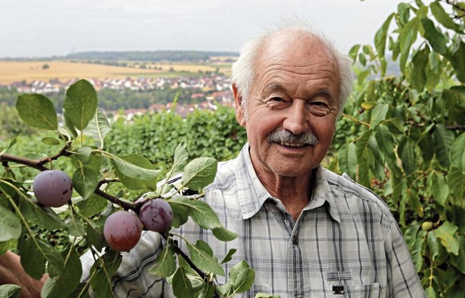 Gunter Bretschneider genießt es, täglich in seinem großen Garten mit dem Panoramablick auf Enzweihingen zu werkeln. Foto: Küppers