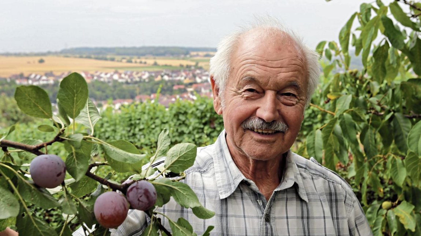Gunter Bretschneider genießt es, täglich in seinem großen Garten mit dem Panoramablick auf Enzweihingen zu werkeln. Foto: Küppers Gunter Bretschneider genießt es, täglich in seinem großen Garten mit dem Panoramablick auf Enzweihingen zu werkeln. Foto: Küppers