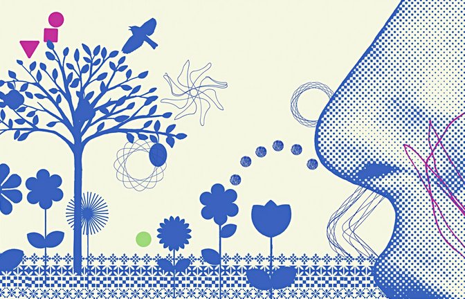 Seit Jahrtausenden verwenden Menschen Räucherwerk aus getrockneten Pflanzenteilen und Harzen zur rituellen oder medizinischen Reinigung.<span class='image-autor'>Foto: ago/Ikon Images</span>