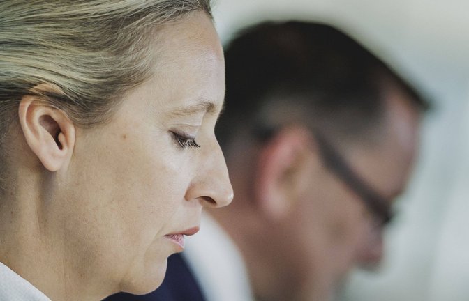 Niederlage vor Gericht: die AfD-Vorsitzende Alice Weidel.<span class='image-autor'>Foto: Imago/photothek/Florian Gaertner</span>