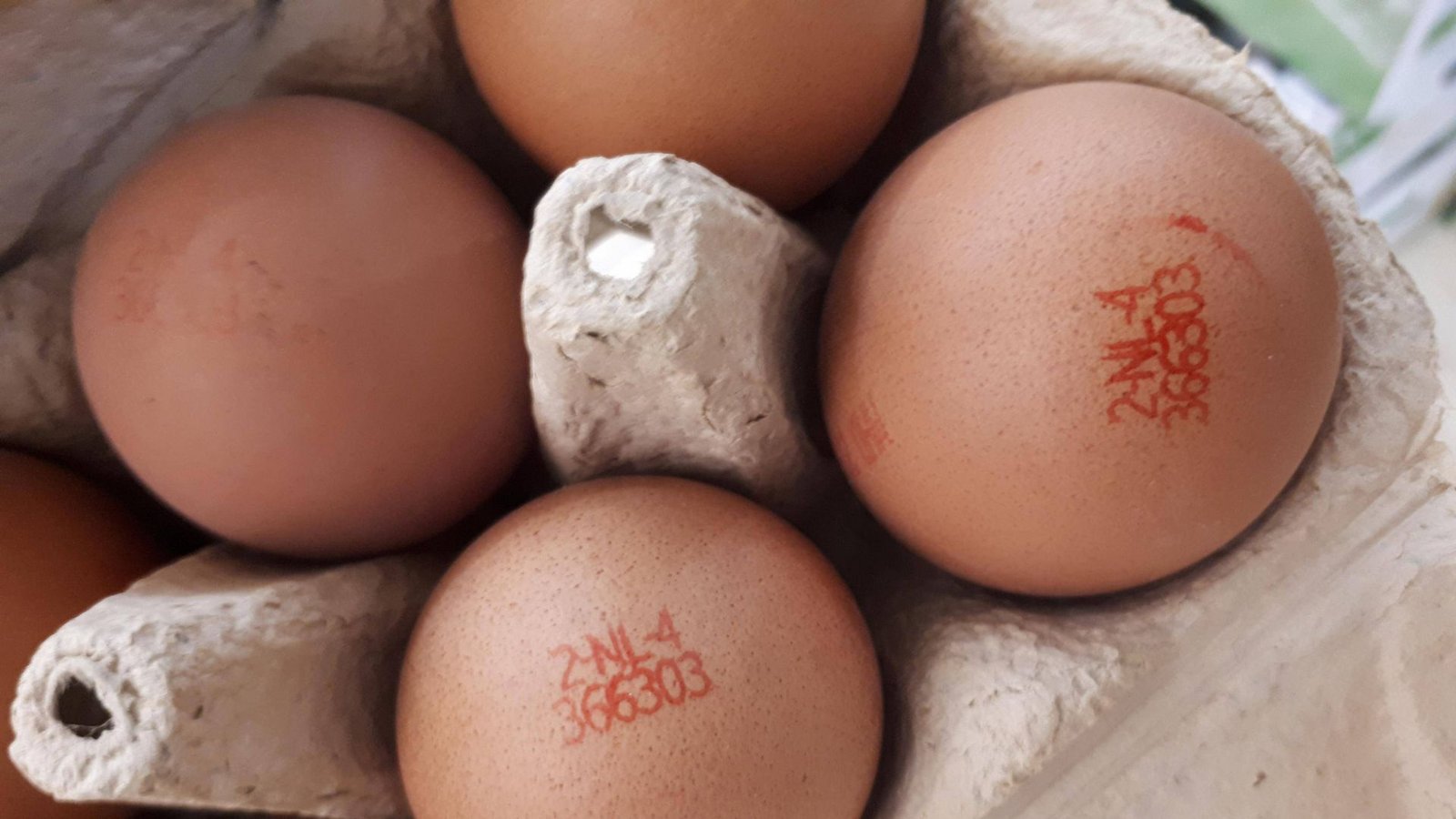 Gerade zur Osterzeit beliebt: Eier.Foto: imago/7aktuell/www.7aktuell.de/Andreas Friedric Gerade zur Osterzeit beliebt: Eier.Foto: imago/7aktuell/www.7aktuell.de/Andreas Friedric