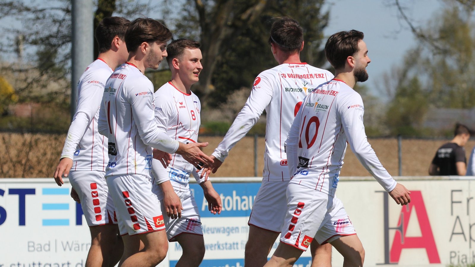 Wollen am Sonntag für das erste Ausrufezeichen sorgen: Die Faustballer des TV Vaihingen. Foto: Dittrich