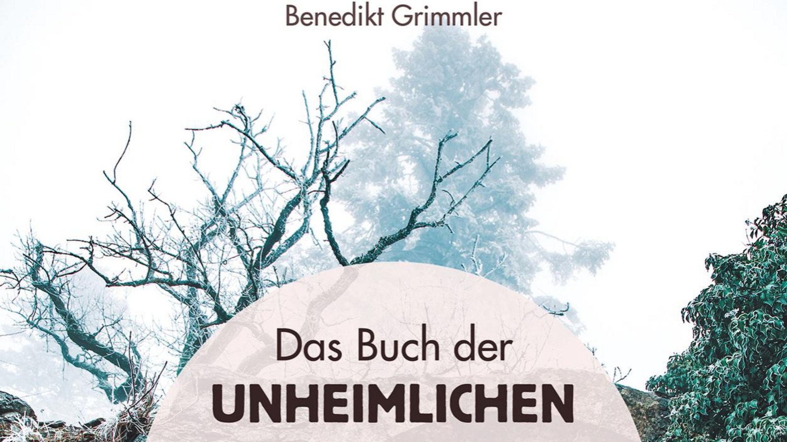 Das Buch ist seit Dezember erhältlich. Foto: p Das Buch ist seit Dezember erhältlich. Foto: p