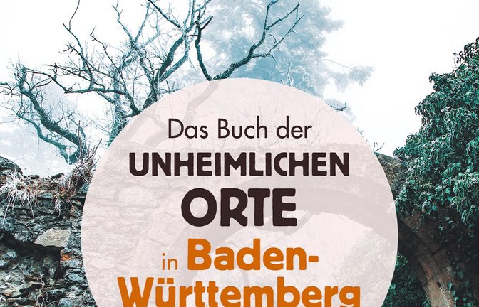 Das Buch ist seit Dezember erhältlich.  <span class='image-autor'>Foto: p</span>