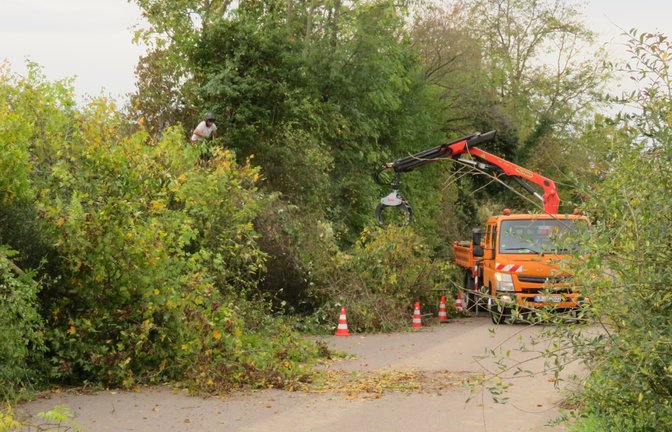 Hecken und Bäume müssen für die Umsetzung des Bebauungsplans „Leimengrube“ in Vaihingen weichen – hier am Nebenweg. Auf einer Fläche von rund 1,6 Hektar sind 76 Wohneinheiten geplant. Der Bebauungsplan ist mit Veröffentlichung im Amtsblatt am 3. November in Kraft getreten.  <span class='image-autor'>Foto: Arning</span>