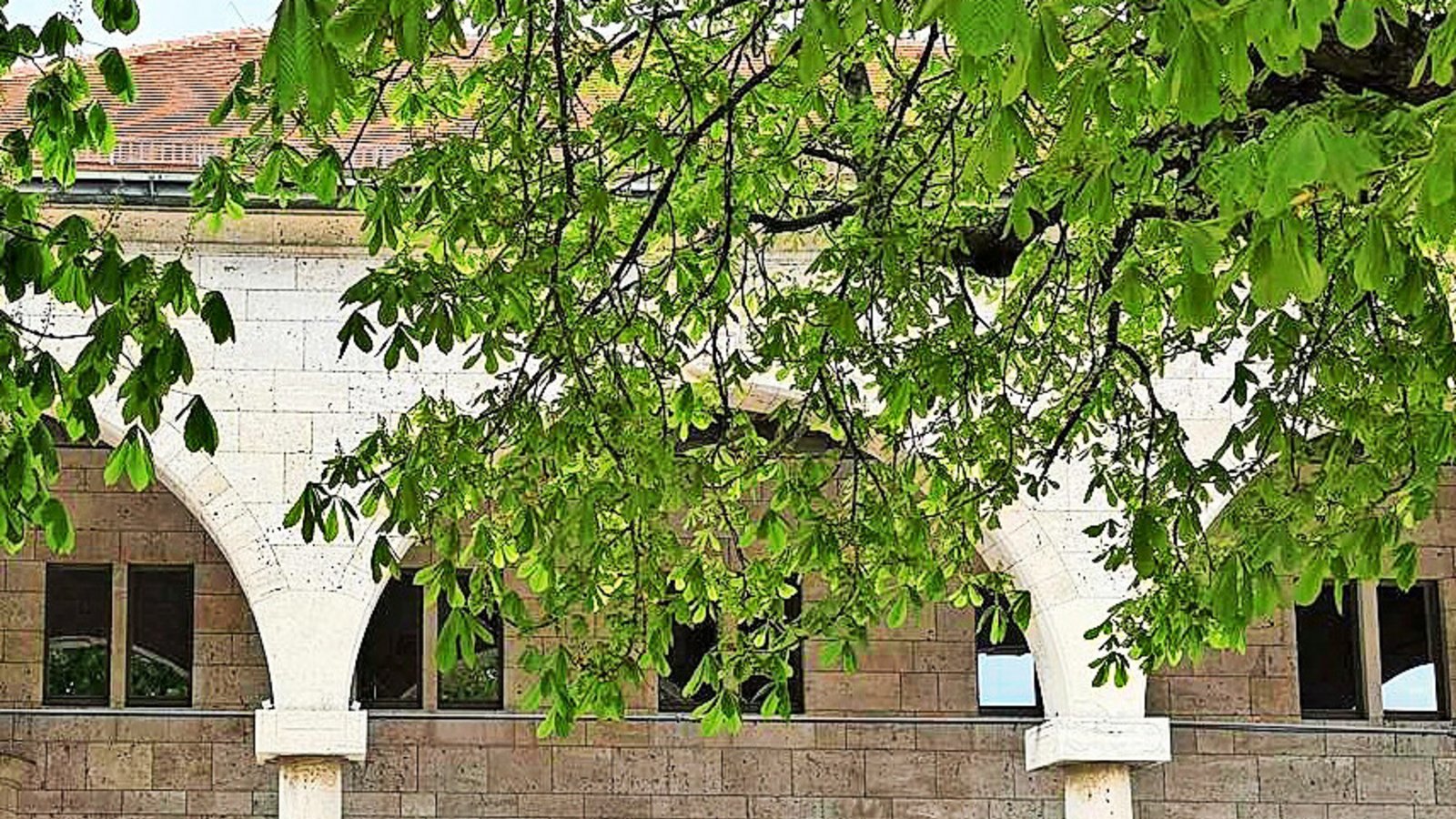 112 Plätze stehen im Außenbereich des Cafés am Kunstgebäude bereit.Foto: /ubo 112 Plätze stehen im Außenbereich des Cafés am Kunstgebäude bereit.Foto: /ubo