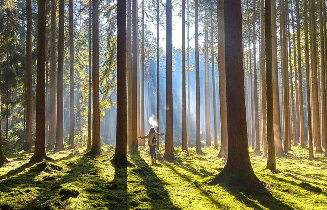 Mancherorts gibt es Natur bereits auf Rezept.<span class='image-autor'>Foto: imago/Action Pictures</span>