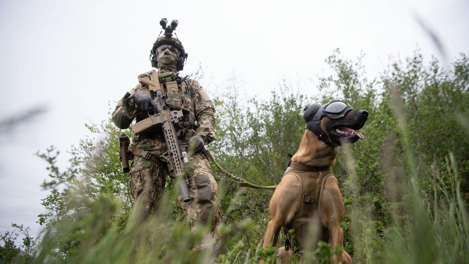 Ein Kommandosoldat des Kommando Spezialkräfte (KSK) der Bundeswehr, steht während eines Videodrehs zum Tag der Bundeswehr mit einem Zugriffsdiensthund, der einen Augen- und Ohrenschutz trägt, in einer Wiese.Foto: Marijan Murat/dpa Ein Kommandosoldat des Kommando Spezialkräfte (KSK) der Bundeswehr, steht während eines Videodrehs zum Tag der Bundeswehr mit einem Zugriffsdiensthund, der einen Augen- und Ohrenschutz trägt, in einer Wiese.Foto: Marijan Murat/dpa