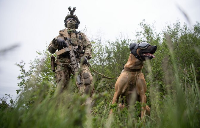 Ein Kommandosoldat des Kommando Spezialkräfte (KSK) der Bundeswehr, steht während eines Videodrehs zum Tag der Bundeswehr mit einem Zugriffsdiensthund, der einen Augen- und Ohrenschutz trägt, in einer Wiese.<span class='image-autor'>Foto: Marijan Murat/dpa</span>