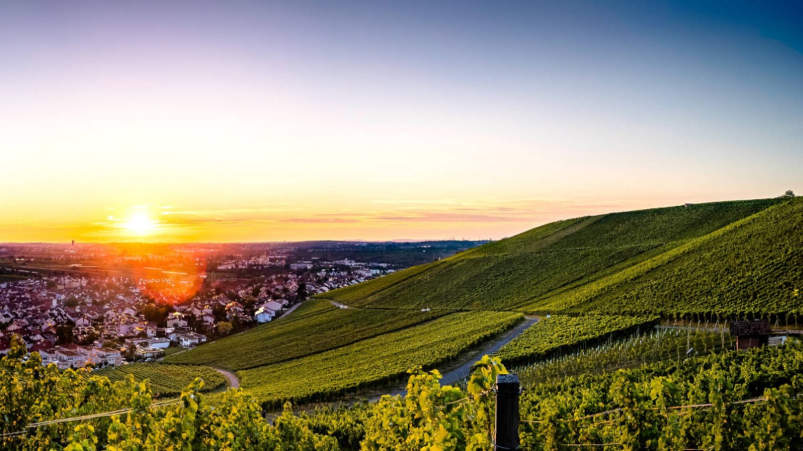 Ab dem 20.06.2024 werden die Tage wieder kürzer. Hier finden Sie die wichtigsten Infos zur Sommersonnenwende.Foto: WeinPhotos / Shutterstock.com