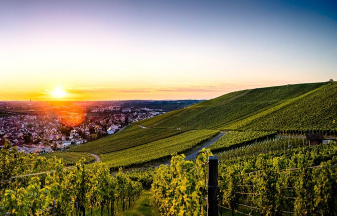 Ab dem 20.06.2024 werden die Tage wieder kürzer. Hier finden Sie die wichtigsten Infos zur Sommersonnenwende.<span class='image-autor'>Foto: WeinPhotos / Shutterstock.com</span>