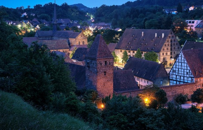 Gernerationenübergreifende Tour durchs Kloster Maulbronn. <span class='image-autor'>Foto: SSG/Bayerl</span>