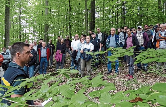 Revierförster Theo Wöhr führte durch ganz unterschiedliche Teile des Sachsenheimer Waldes. Die Waldbegehung findet jedes Jahr statt – allerdings nicht mehr öffentlich.  Foto: ms