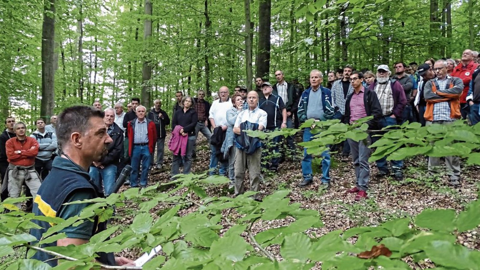 Revierförster Theo Wöhr führte durch ganz unterschiedliche Teile des Sachsenheimer Waldes. Die Waldbegehung findet jedes Jahr statt – allerdings nicht mehr öffentlich. Foto: ms Revierförster Theo Wöhr führte durch ganz unterschiedliche Teile des Sachsenheimer Waldes. Die Waldbegehung findet jedes Jahr statt – allerdings nicht mehr öffentlich. Foto: ms