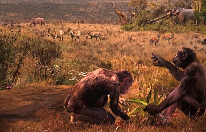 War er der letzte gemeinsame Vorfahre? Graecopithecus freybergi – Spitzname El Graeco – hat vor 7,2 Millionen Jahren in einer staubbelasteten Savannen-Landschaft rund um das heutige Athen gelebt. Der Künstler Velizar Simeonovski hat dieses Gemälde nach wissenschaftlichen Vorgaben von Madelaine Böhme und Nikolai Spassov erstellt.<span class='image-autor'>Foto: Velizar Simeonovski/Madelaine Böhme/Universität Tübingen</span>