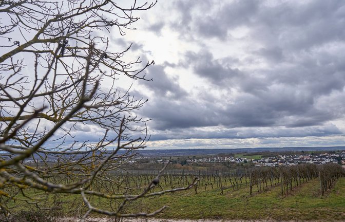 Wer am Sonntag in Baden-Württemberg einen Ausflug machen möchte, braucht Geduld – und besser auch einen Regenschirm (Symbolfoto).<span class='image-autor'>Foto: Sascha Ditscher/dpa/Sascha Ditscher</span>