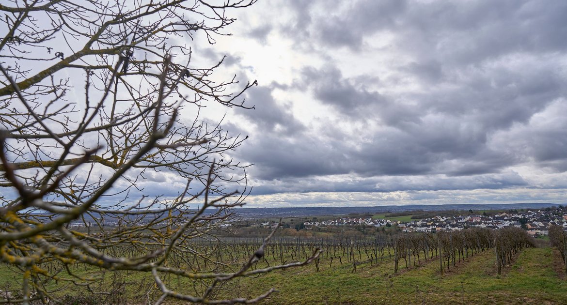 urn:newsml:dpa.com:20090101:260414-935-1277383