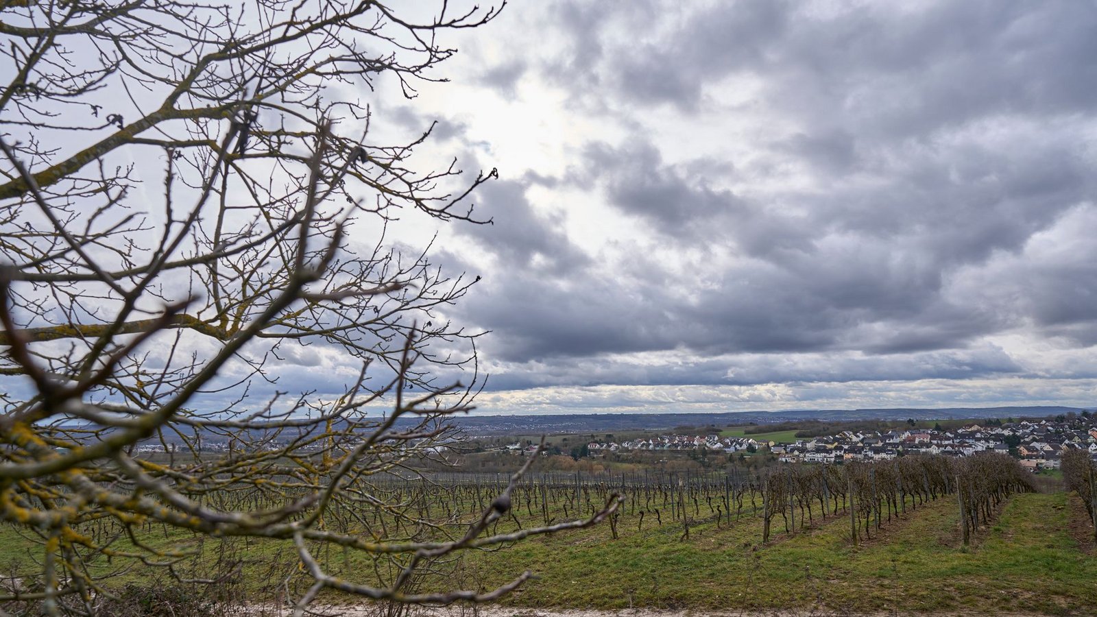 Wer am Sonntag in Baden-Württemberg einen Ausflug machen möchte, braucht Geduld – und besser auch einen Regenschirm (Symbolfoto).Foto: Sascha Ditscher/dpa/Sascha Ditscher
