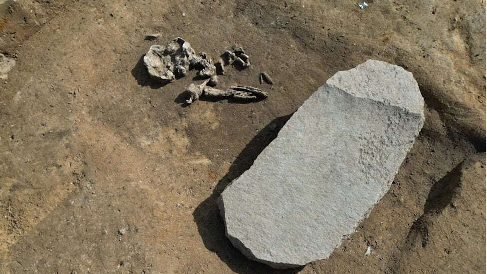 Wiedergänger-Grab in Oppin (Sachsen-Anhalt): Dieser ein Meter lange, 50 Zentimeter breite und zehn Zentimeter hohe Stein sollte verhindern, das der Verstorbene aus dem Reich der Toten zurückkehrt.Foto: Steffen Schellhorn/dpa