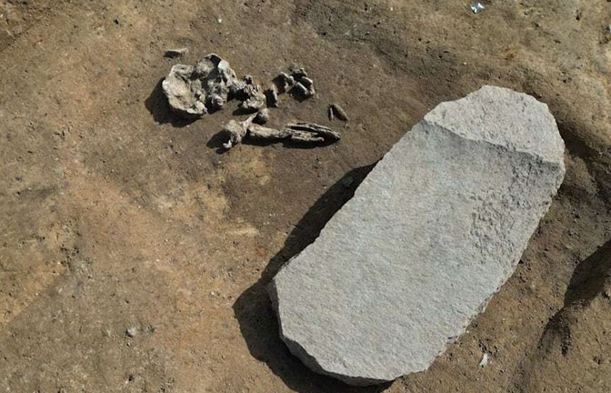 Wiedergänger-Grab in Oppin (Sachsen-Anhalt): Dieser ein Meter lange, 50 Zentimeter breite und zehn Zentimeter hohe Stein sollte verhindern, das der Verstorbene aus dem Reich der Toten zurückkehrt.<span class='image-autor'>Foto: Steffen Schellhorn/dpa</span>