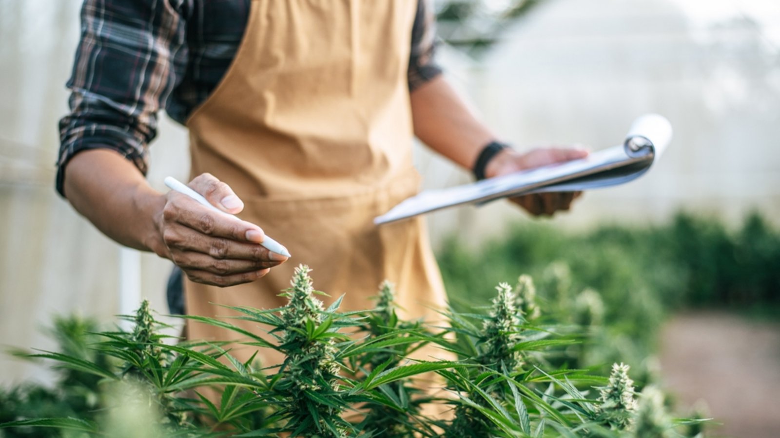 Muss man wirklich aktiv mitarbeiten?Foto: Johnstocker Production / shutterstock.com Muss man wirklich aktiv mitarbeiten?Foto: Johnstocker Production / shutterstock.com