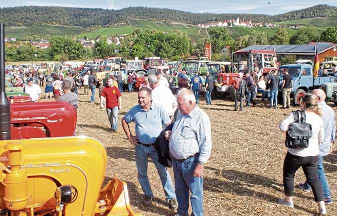 Bei optimalem Wetter strömten die Besucher in Scharen zum Hohenhaslacher Schleppertreffen.  Fotos: Friedrich