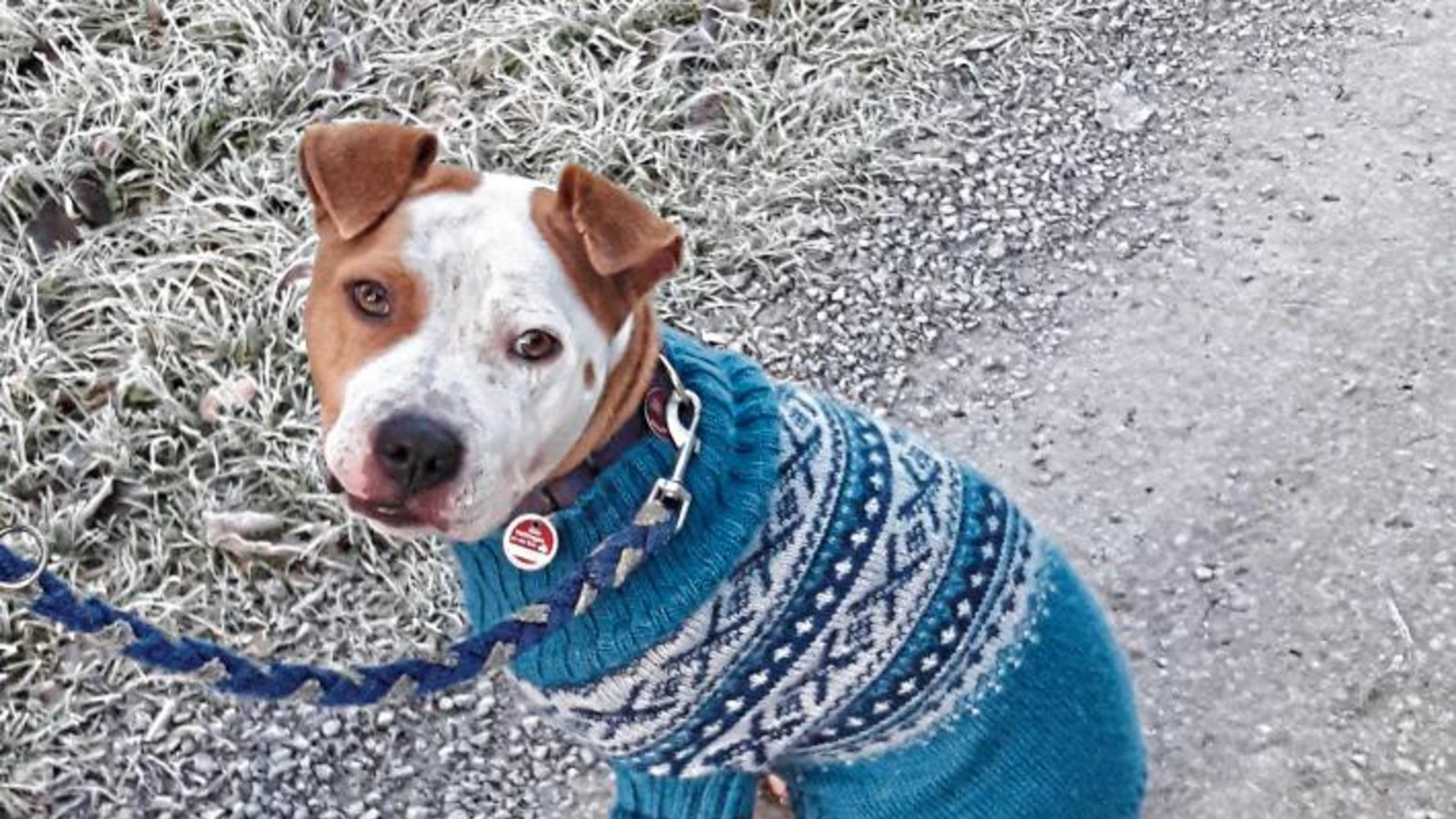 Auricherin trägt neue Winterkollektion – frisch gestrickt von „Oma“.  Foto: Rücker