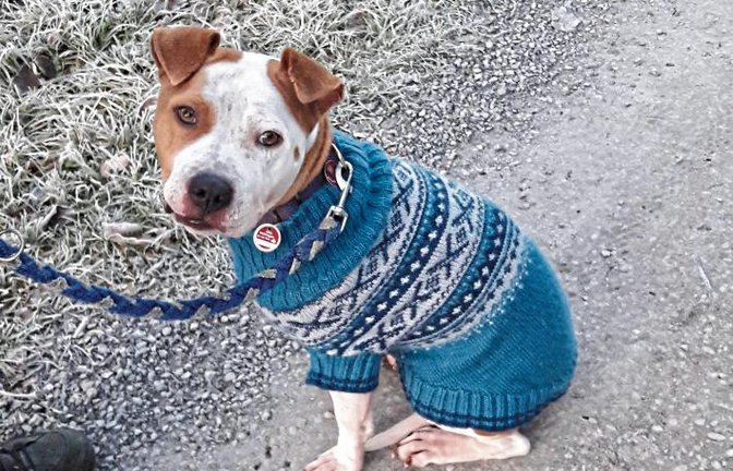Auricherin trägt neue Winterkollektion – frisch gestrickt von „Oma“.  Foto: Rücker