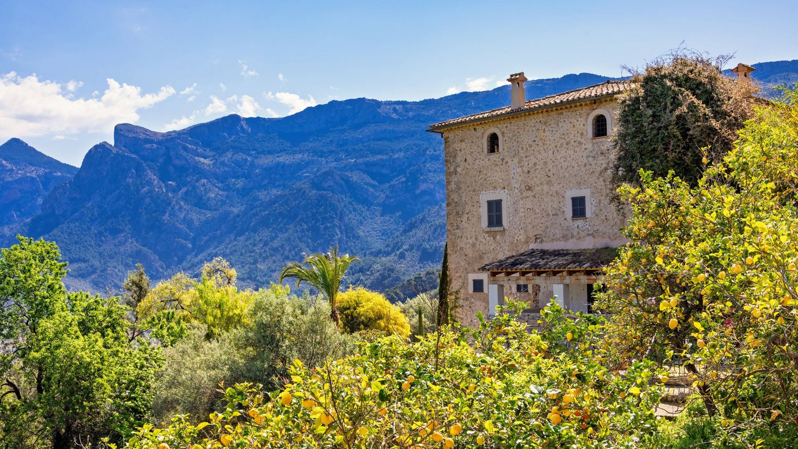 Nicht Italien und nicht der Orient: „Kennst du das Land, wo die Zitronen blühen?“Foto: IMAGO/Zoonar Nicht Italien und nicht der Orient: „Kennst du das Land, wo die Zitronen blühen?“Foto: IMAGO/Zoonar
