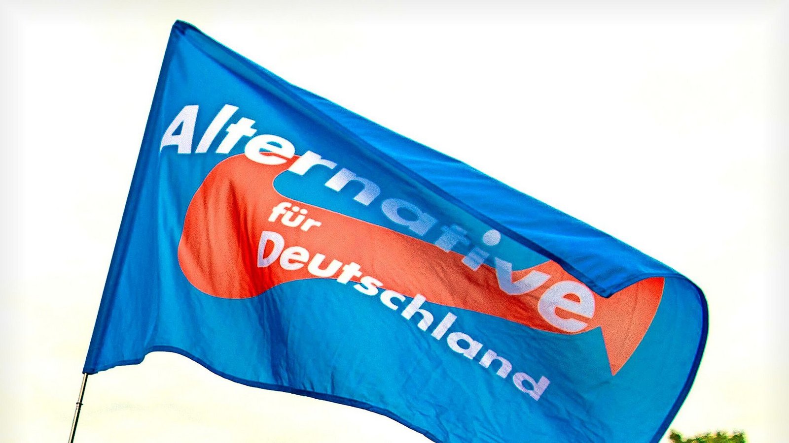 Auch in Baden-Württemberg hat die AfD aktuell Rückenwind.Foto: Jens Büttner/dpa-Zentralbild/dp Auch in Baden-Württemberg hat die AfD aktuell Rückenwind.Foto: Jens Büttner/dpa-Zentralbild/dp