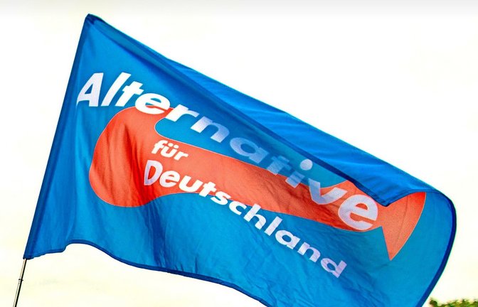 Auch in Baden-Württemberg hat die AfD aktuell Rückenwind.<span class='image-autor'>Foto: Jens Büttner/dpa-Zentralbild/dp</span>