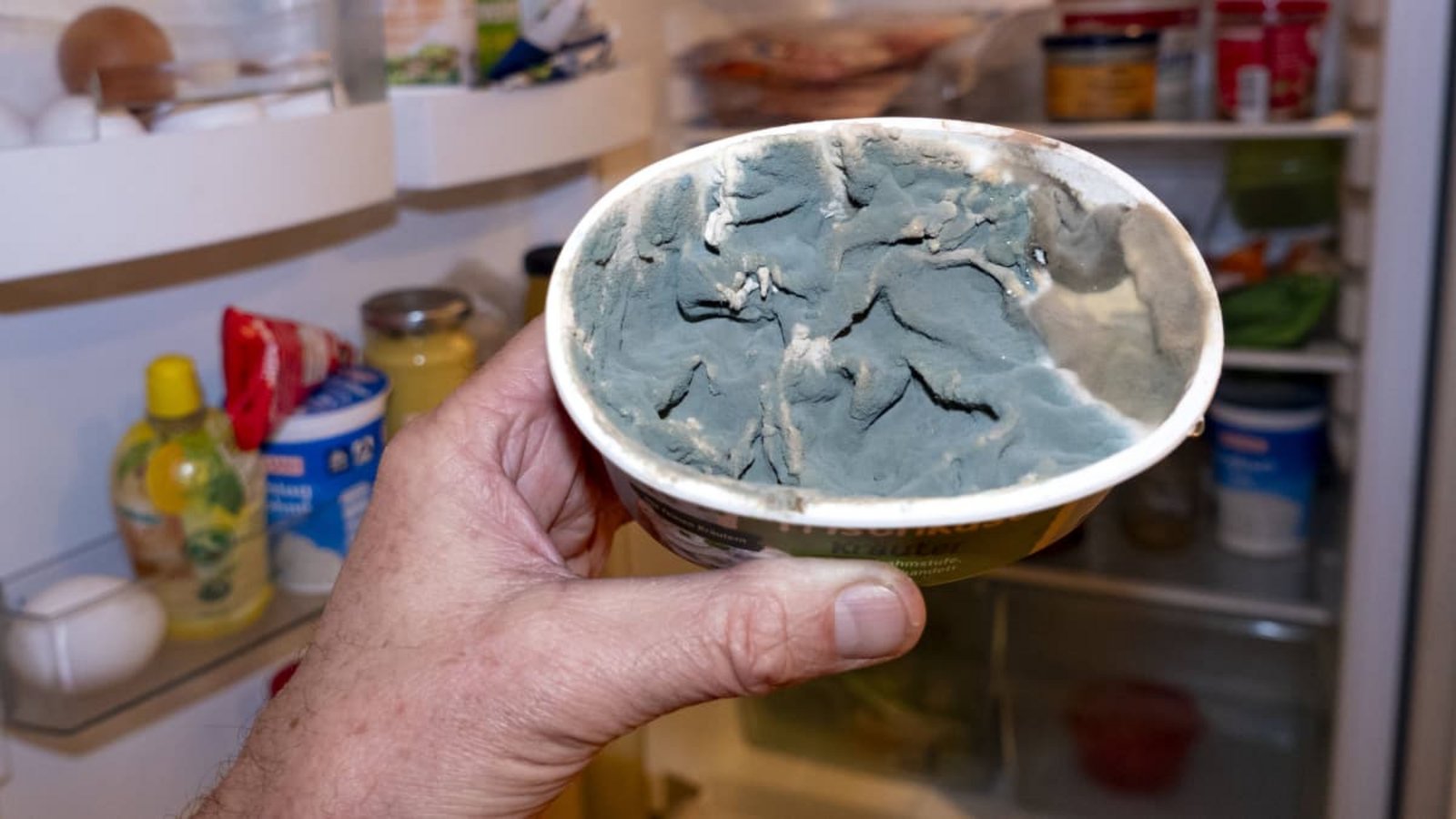 Vorsicht toxisch! Dieser verschimmelte Frischkäse aus dem Kühlschrank sollte sofort entsorgt werden.Imago/C3 Pictures Vorsicht toxisch! Dieser verschimmelte Frischkäse aus dem Kühlschrank sollte sofort entsorgt werden.Imago/C3 Pictures
