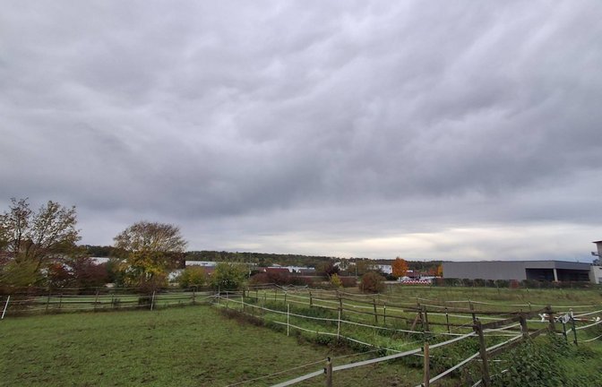 Bilder Neuansiedlungsfläche Sersheim mit Blick zum Penny. <span class='image-autor'>Foto: Glemser</span>