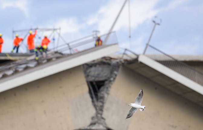 Die Carolabrücke in Dresden stürzte 2024 zusammen.<span class='image-autor'>Foto: dpa</span>