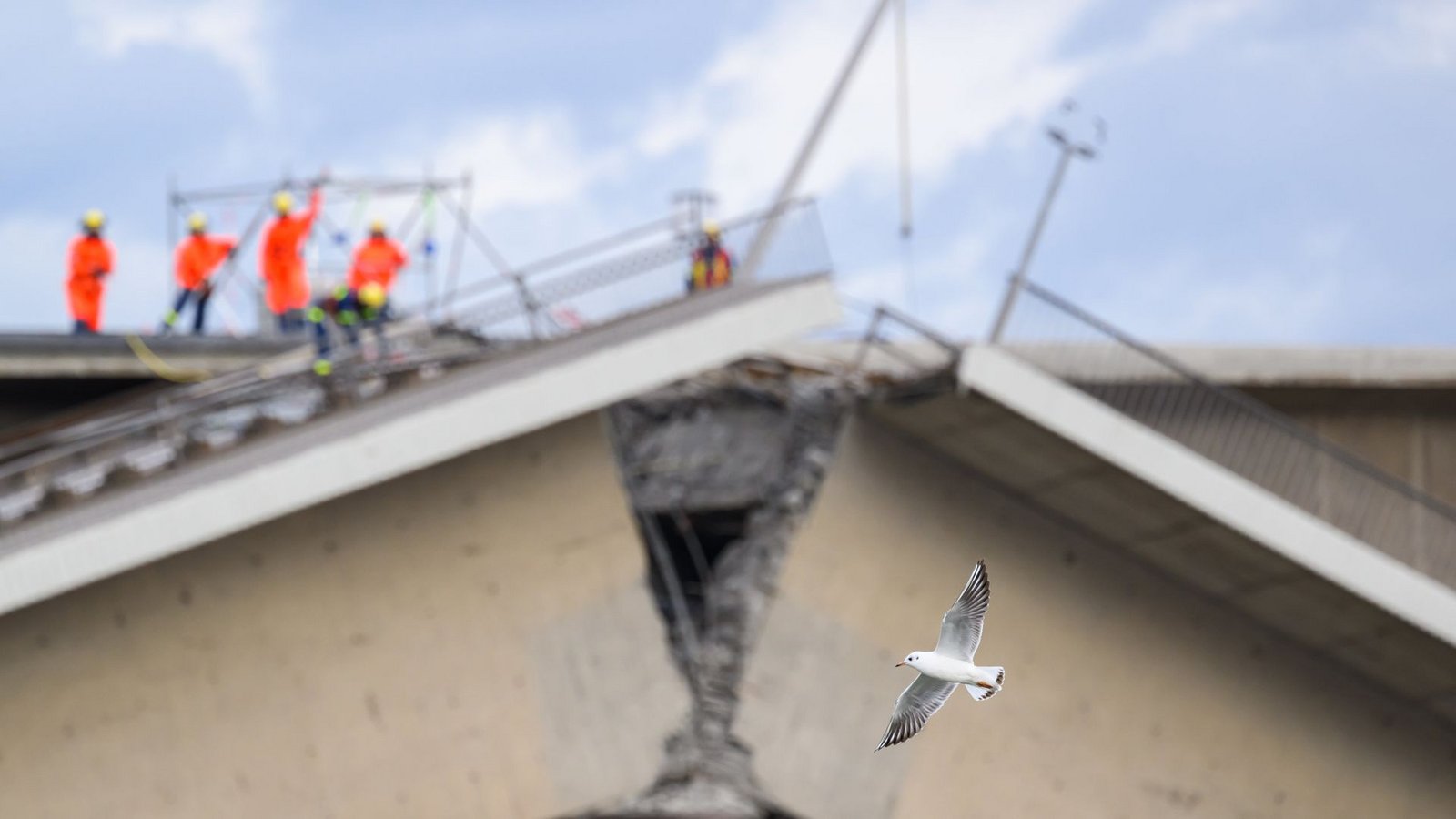 Die Carolabrücke in Dresden stürzte 2024 zusammen.Foto: dpa