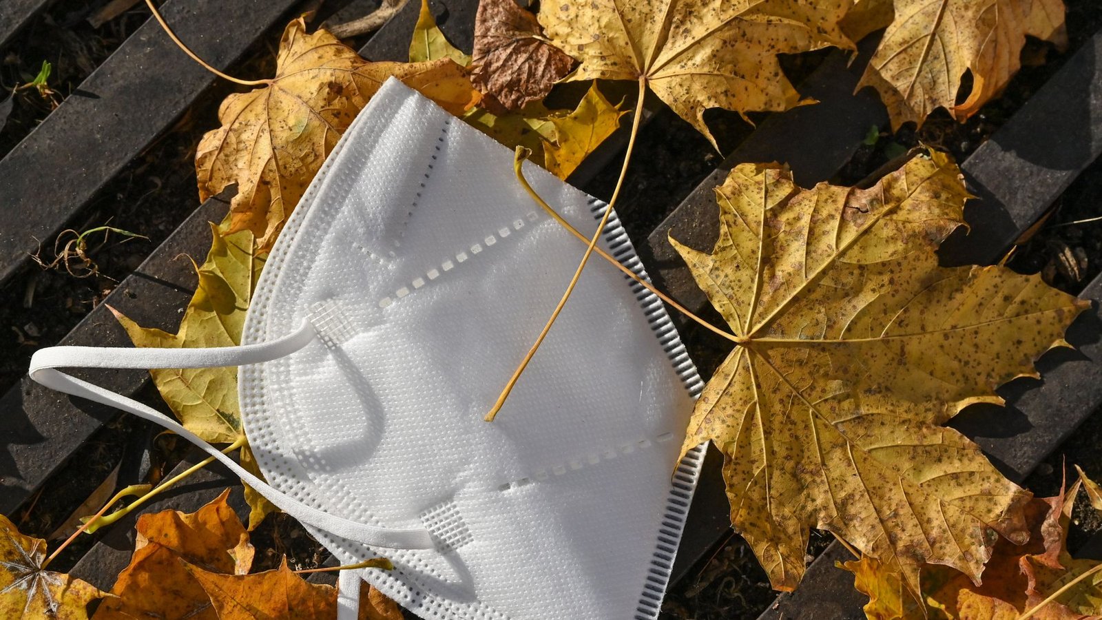 Im Herbst und Winter steigt das Infektionsrisiko. Welche Rolle spielt die Variante BQ.1.1?Foto: dpa/Patrick Pleul Im Herbst und Winter steigt das Infektionsrisiko. Welche Rolle spielt die Variante BQ.1.1?Foto: dpa/Patrick Pleul