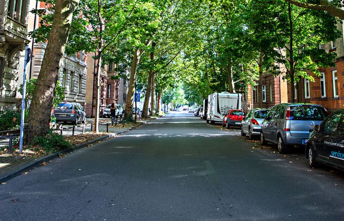 An dieser Straße in Bad Cannstatt sieht man, wie effektiv große Bäume ein Quartier verschatten können.<span class='image-autor'>Foto: Lichtgut/Christoph Schmidt</span>